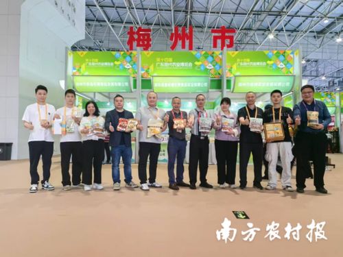 智創未來，AI賦能 蕉嶺毛竹品牌煥新，實業公司引領產業升級